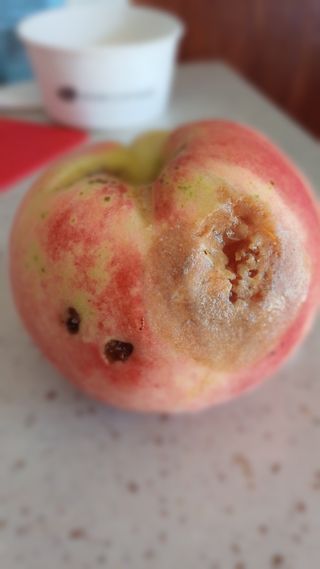 사과대추님의 복숭아 · 병해충상담 작성글 사진