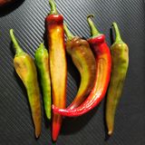 팜모닝 고추·병해충상담 게시글 이미지