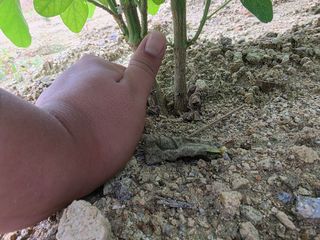 이병현님의 콩 · 병해충상담 작성글 사진