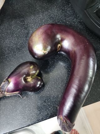 이경주님의 고추 · 병해충상담 작성글 사진