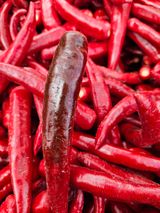 팜모닝 고추·병해충상담 게시글 이미지