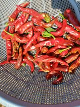 팜모닝 고추·병해충상담 게시글 이미지