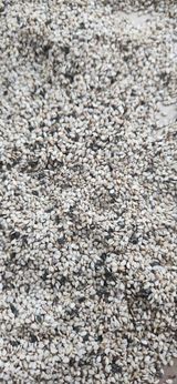 팜모닝 참깨·병해충상담 게시글 이미지