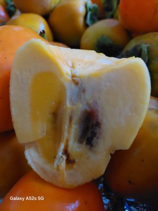 참깨7881님의 감 · 병해충상담 작성글 사진