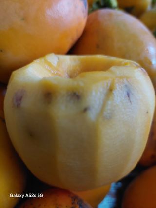 참깨7881님의 감 · 병해충상담 작성글 사진