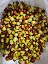 팜모닝 기타작물·병해충상담 게시글 이미지