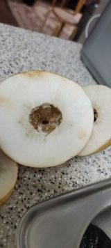 팜모닝 기타작물·병해충상담 게시글 이미지