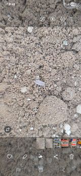 팜모닝 호박·병해충상담 게시글 이미지