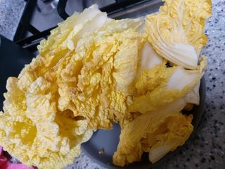 정정녀님의 배추 · 병해충상담 작성글 사진