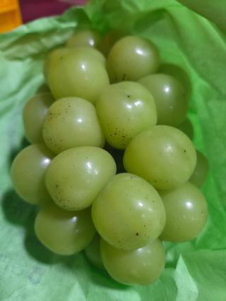 이우진님의 포도 · 병해충상담 작성글 사진