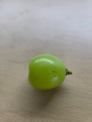 이우진님의 포도 · 병해충상담 작성글 사진