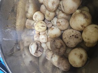 백호맘님의 감자 · 병해충상담 작성글 사진