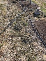 팜모닝 사과·병해충상담 게시글 이미지