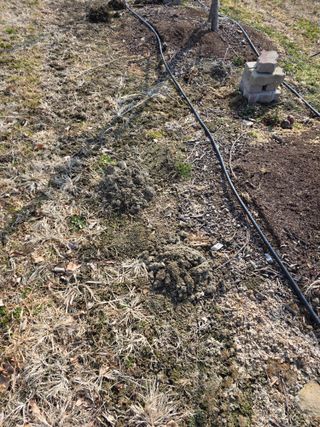 박기훈님의 사과 · 병해충상담 작성글 사진