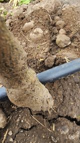 팜모닝 귤·병해충상담 게시글 이미지