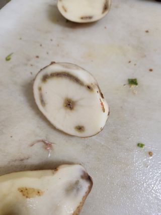 남기하님의 감자 · 병해충상담 작성글 사진