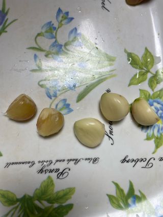 이봉수님의 마늘 · 병해충상담 작성글 사진
