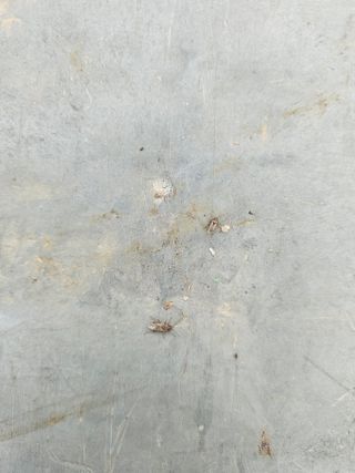 박주희님의 들깨·병해충상담 작성글 사진