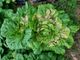 홈 갤러리 이미지