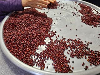 김시헌 님의 기타작물 · 영농일지 작성글 사진