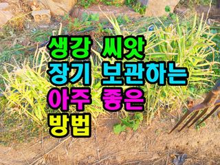 꿈꾸는텃밭님의 기타작물 · 영농일지 작성글 사진