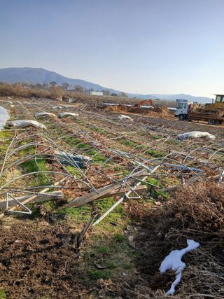 맞춤포도 드론방제님의 기타작물 · 영농일지 작성글 사진