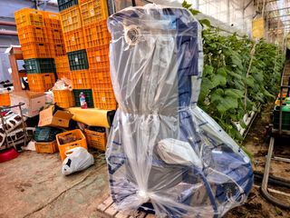 늘햇살팜 님의 기타작물 · 영농일지 작성글 사진