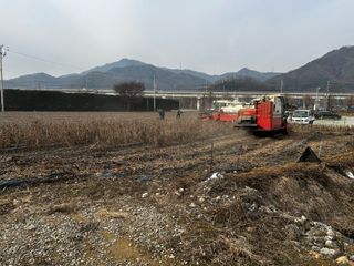 박현희님의 콩 · 영농일지 작성글 사진