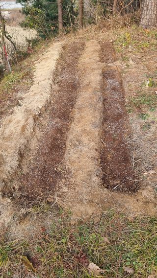 권혁렬님의 기타작물 · 영농일지 작성글 사진