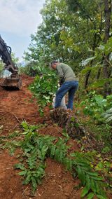 팜모닝 기타작물·영농일지 게시글 이미지