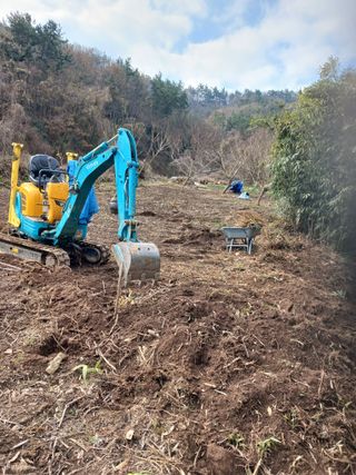 박지성 님의 기타작물 · 영농일지 작성글 사진
