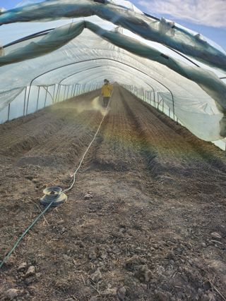 대박농사님의 기타작물 · 영농일지 작성글 사진