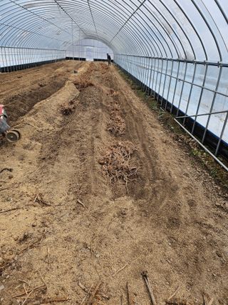 김두영님의 기타작물 · 영농일지 작성글 사진