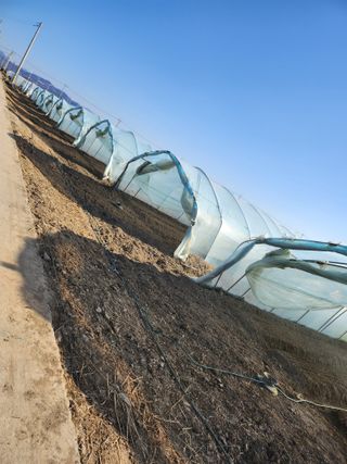 대박농사님의 기타작물 · 영농일지 작성글 사진