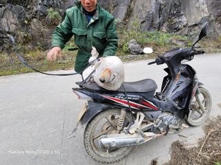 최석조입니다님의 기타작물 · 영농일지 작성글 사진