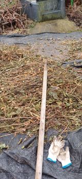 팜모닝 콩·영농일지 게시글 이미지