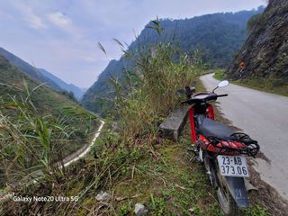 최석조입니다님의 기타작물 · 영농일지 작성글 사진