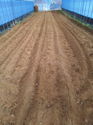 김광수님의 기타작물 · 영농일지 작성글 사진