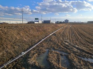 평택미꾸리님의 기타작물 · 영농일지 작성글 사진