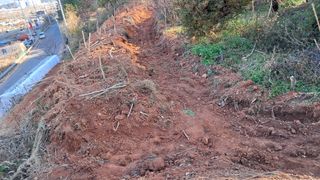 이규상님의 두릅 · 영농일지 작성글 사진