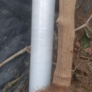 알 수 없음님의 기타작물 · 영농일지 작성글 사진