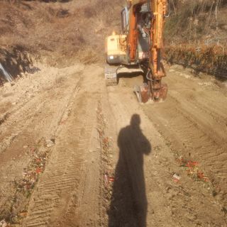 알 수 없음님의 기타작물 · 영농일지 작성글 사진