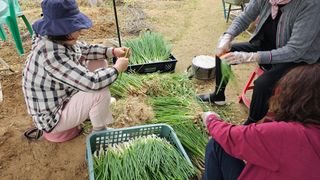 호피랑 농부랑님의 콩 · 영농일지 작성글 사진