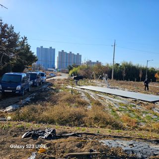 박용열조물주님 님의 파 · 영농일지 작성글 사진