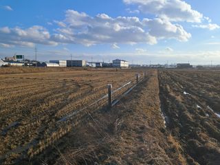 평택미꾸리님의 기타작물 · 영농일지 작성글 사진