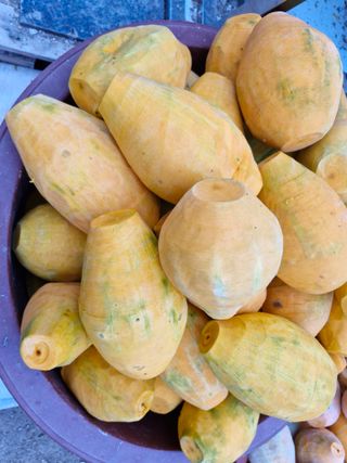 최근학님의 호박 · 영농일지 작성글 사진