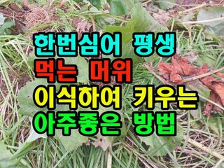 꿈꾸는텃밭님의 기타작물 · 영농일지 작성글 사진