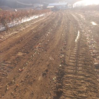 알 수 없음님의 기타작물 · 영농일지 작성글 사진