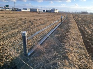 평택미꾸리님의 기타작물 · 영농일지 작성글 사진