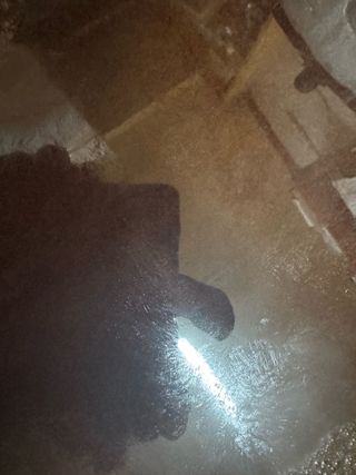 국사봉 기바우체농장님의 기타작물 · 영농일지 작성글 사진